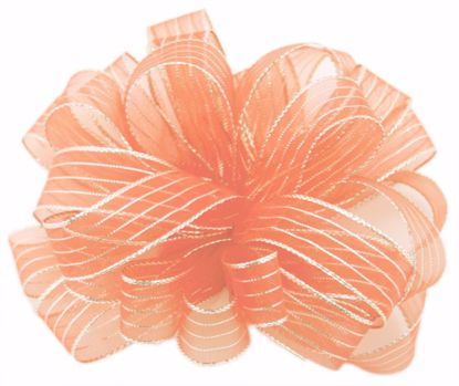 Picture of #3 Striped Chiffon Ribbon - Coral