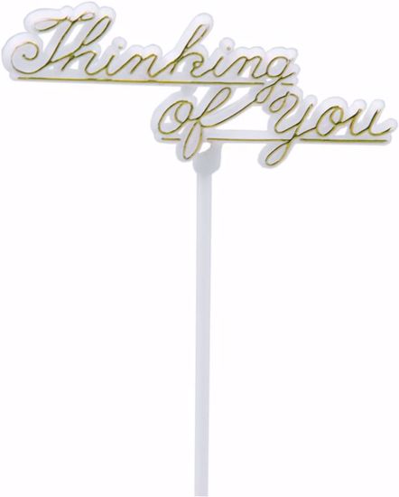 Picture of Thinking of You Pick