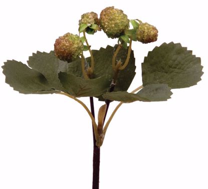Picture of 8" Raspberry Pick