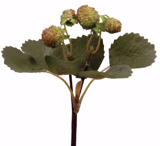 Picture of 8" Raspberry Pick