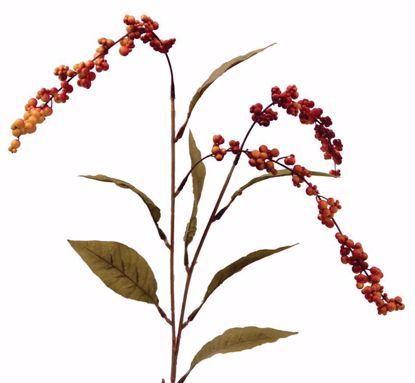 Picture of Brown Berry Spray
