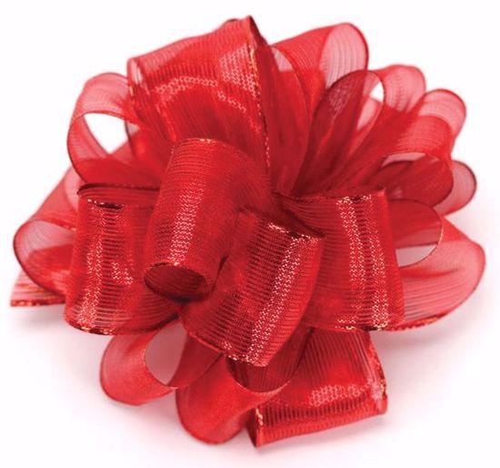 DirectFloral. #9 Wired Metallic Ribbon / Meissa - Red