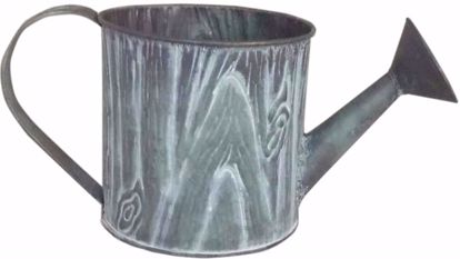 Picture of Galvanized  Woodgrain Watering Can 4"