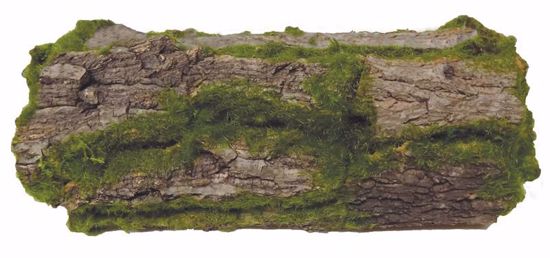 Picture of Rustic Log w/Moss