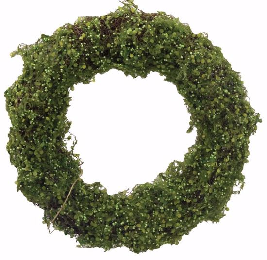 Picture of 15" Round Sisal Wreath