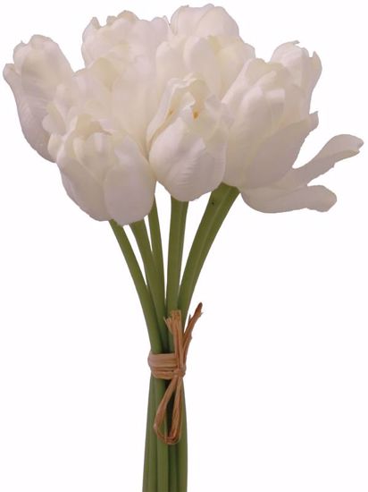 Picture of Cream Tulip  Bundle (11.5")