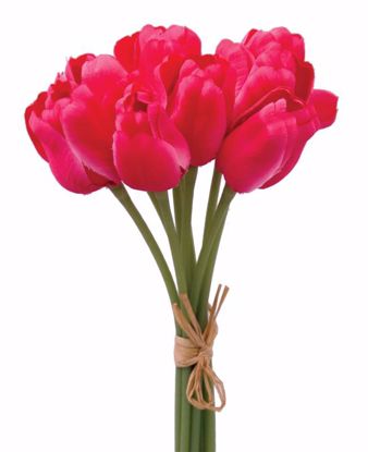 Picture of Beauty  Tulip  Bundle (11.5")