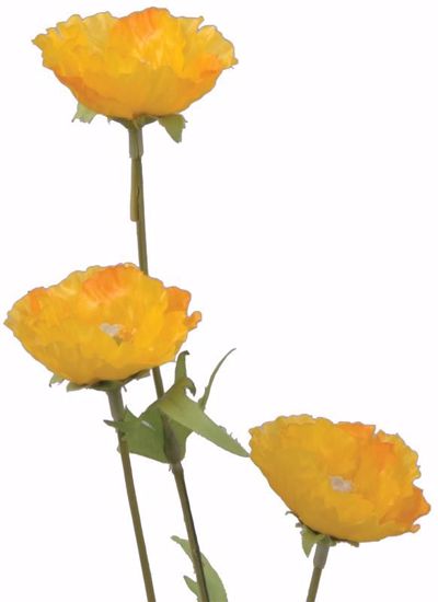 Picture of Yellow Poppy Stem (26")