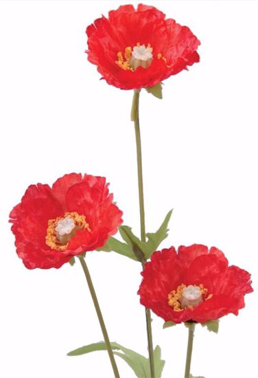 Picture of Red Poppy Stem (26")