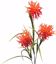 Picture of 31" Wild Flower Stem