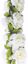 Picture of 72" Peony Chain Garland