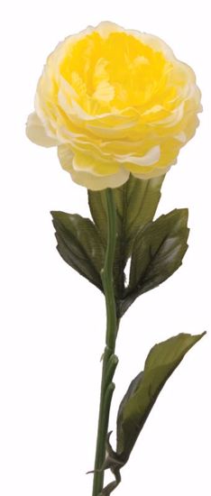 Picture of Yellow Camellia Stem (22")