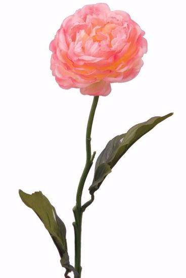 Picture of Pink Camellia Stem (22")