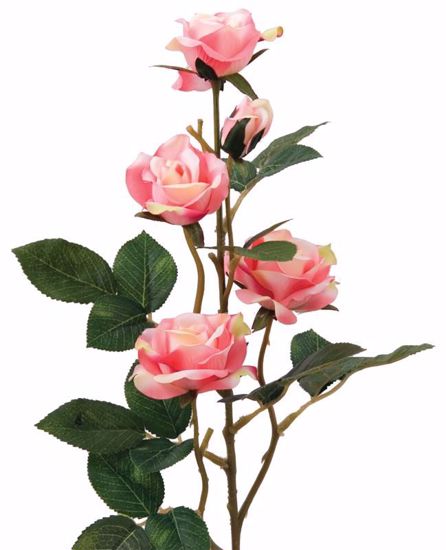 Picture of Pink Green Rose Spray (4 Stems, 29")