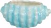 Picture of Turquoise Seashell Planter