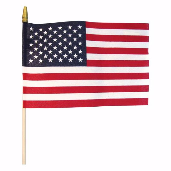Picture of 6" x 9" Cloth Flag (Made in USA)