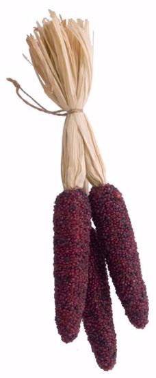 Picture of Brown Corn Cob Decoration (with Hanger)-14"