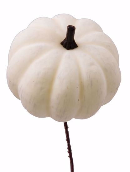 Picture of 7" White Pumpkin Pick