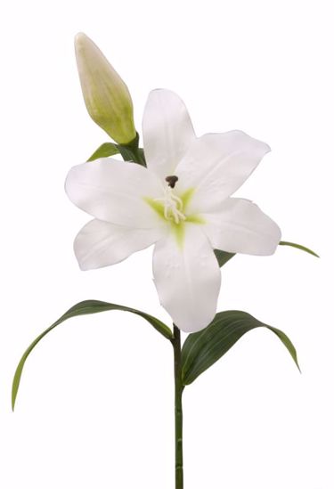 Picture of Cream Tiger Lily Stem (19")