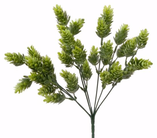 Picture of 13" Light Green Cone Flower Bush x 7