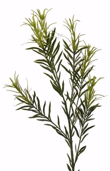Picture of 31" Rosemary Spray