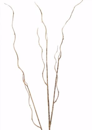 Picture of Light Brown Branch  Spray (42")