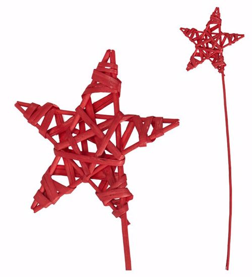 Picture of Red Wicker Star Pick(5.5")
