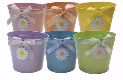 Picture of Pastel Daisy Charm Pot Cover Assortment 7"
