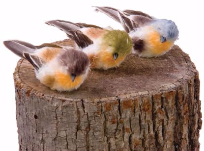 Picture of 3 Assorted 3.5" Birds w/Clips