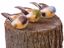 Picture of 3 Assorted 3.5" Birds w/Clips