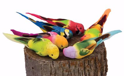 Picture of 6 Assorted 5.25" Tropical Birds w/Clips