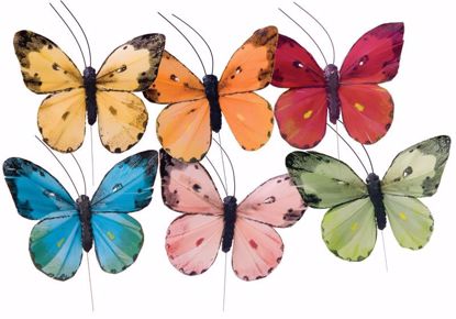 Picture of 6 Assorted Butterflies