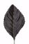 Picture of Silk Corsage Leaves (2.25"-Black)