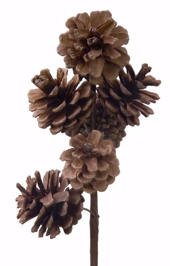 Picture of Natural  Pinecone  Spray  (10")