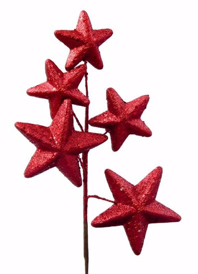 Picture of Holiday Red Glitter Star Pick (12")