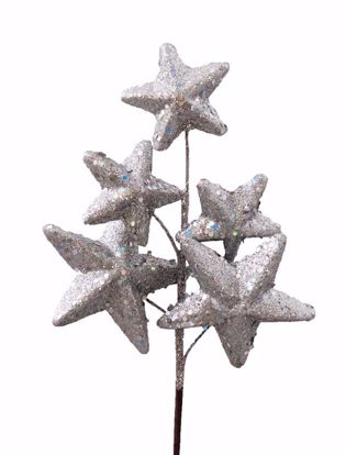 Picture of Holiday Silver Glitter Star Pick (12")