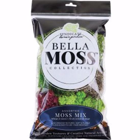 Picture of Preserved Moss Mix