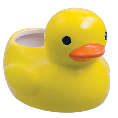 Picture of Duck Planter