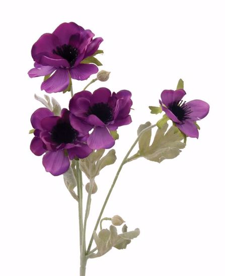 Picture of Purple Poppy  Spray (4 Stems, 19")