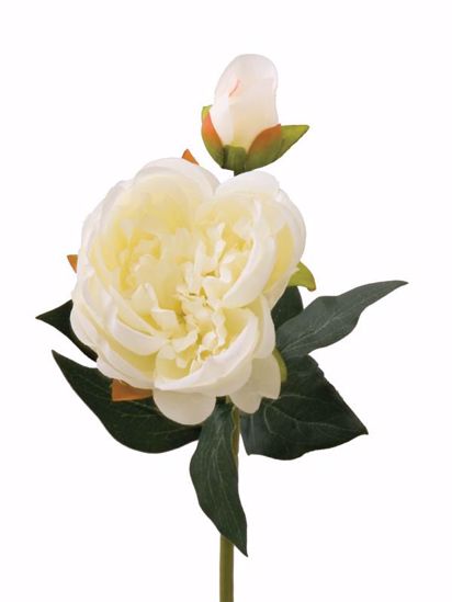 Picture of Cream Peony Spray with Buds (20")