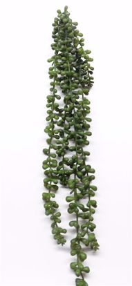 Picture of String of Pearls (24")