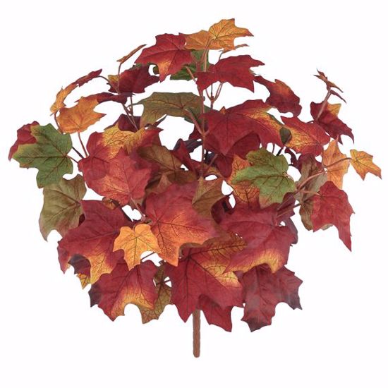 Picture of Autumn Leaves Maple Bush (7 Stems, 17")