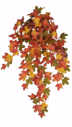Picture of 33" Maple Bush/Vine x 9