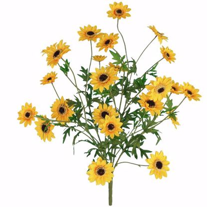 Picture of 25" Mini Sunflower Bush x 5