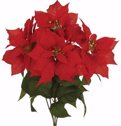 Picture of 19" Watertight Red Poinsettia x 6