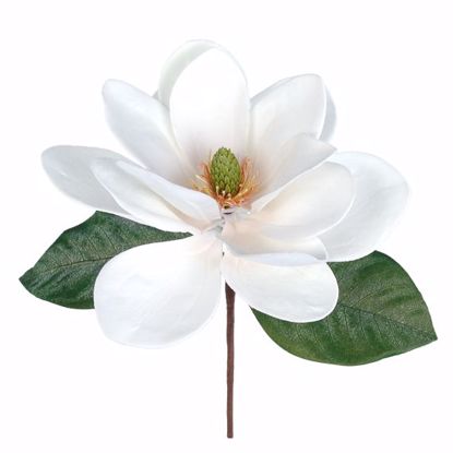 Picture of White Magnolia Pick (11")