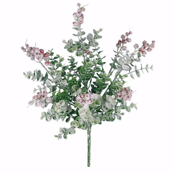Picture of Evergreen Bush-Frosted Eucberry (9 Stems, 15")
