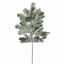 Picture of 19" Frosty Pine Flocked/Glitter Plastic Spray