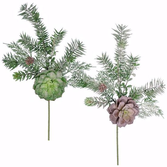 Picture of Evergreen Spray-2 Assorted-Frosted Pine with Succulent (Plastic, 16")