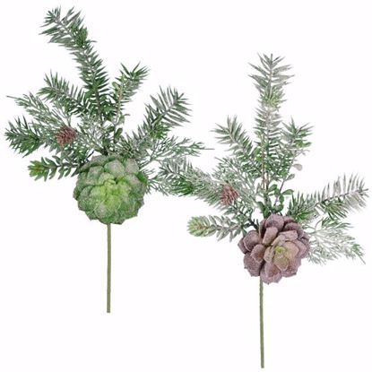 Picture of 2 Asst 16" Winter Succulent Plastic Spray